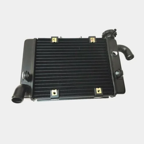 Radiador para Benelli BJ300 /BN302 / Tornado / TNT300 / STELS 300 / BN TNT 300, 302